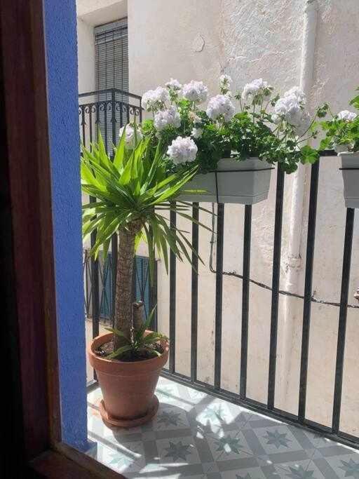 Apartmán Casa Ziba Casco Antiguo Wifiaa Peñíscola Exteriér fotografie